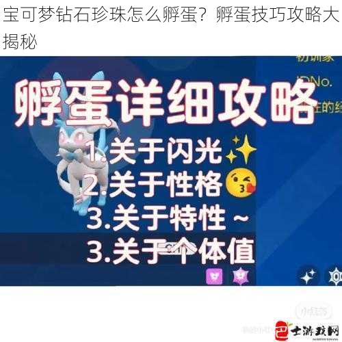 宝可梦钻石珍珠怎么孵蛋？孵蛋技巧攻略大揭秘