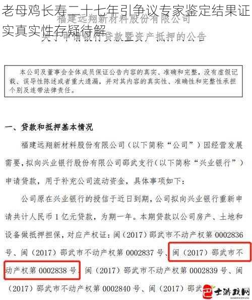 老母鸡长寿二十七年引争议专家鉴定结果证实真实性存疑待解