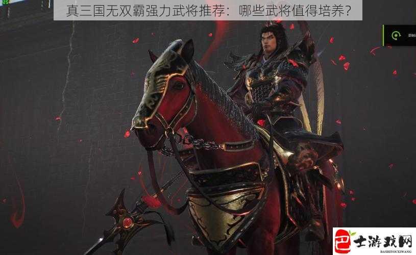 真三国无双霸强力武将推荐：哪些武将值得培养？