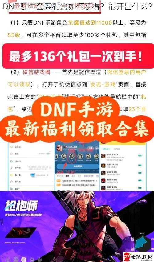 DNF 驯牛套索礼盒如何获得？能开出什么？