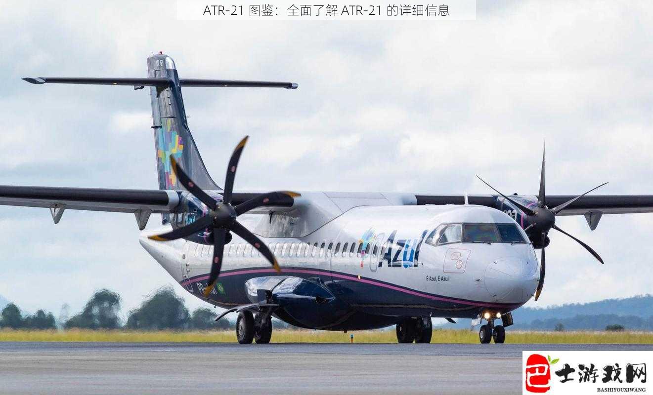 ATR-21 图鉴：全面了解 ATR-21 的详细信息