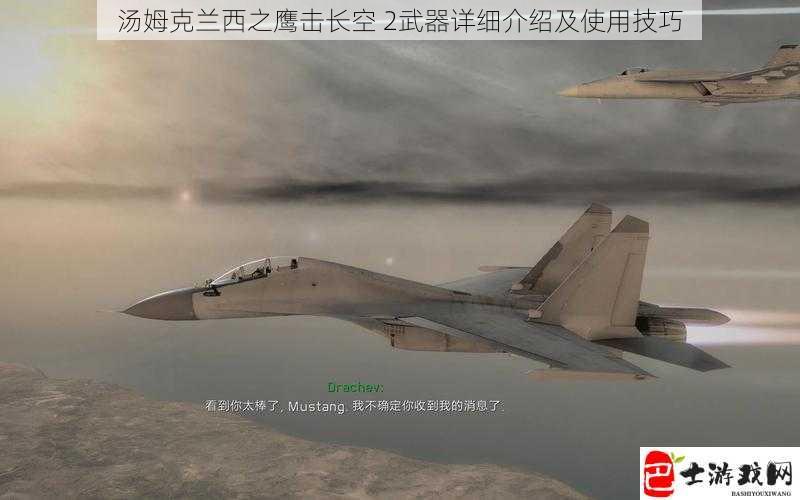 汤姆克兰西之鹰击长空 2武器详细介绍及使用技巧